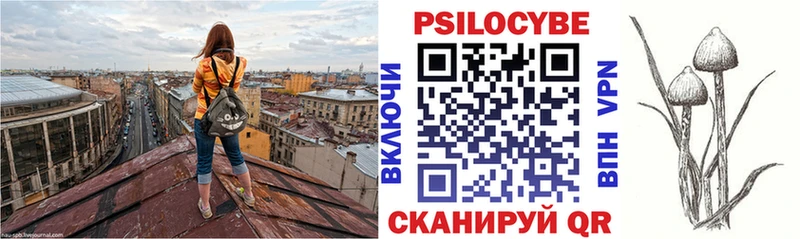 маркетплейс телеграм Юрьевец Галлюциногенные грибы Psilocybine cubensis